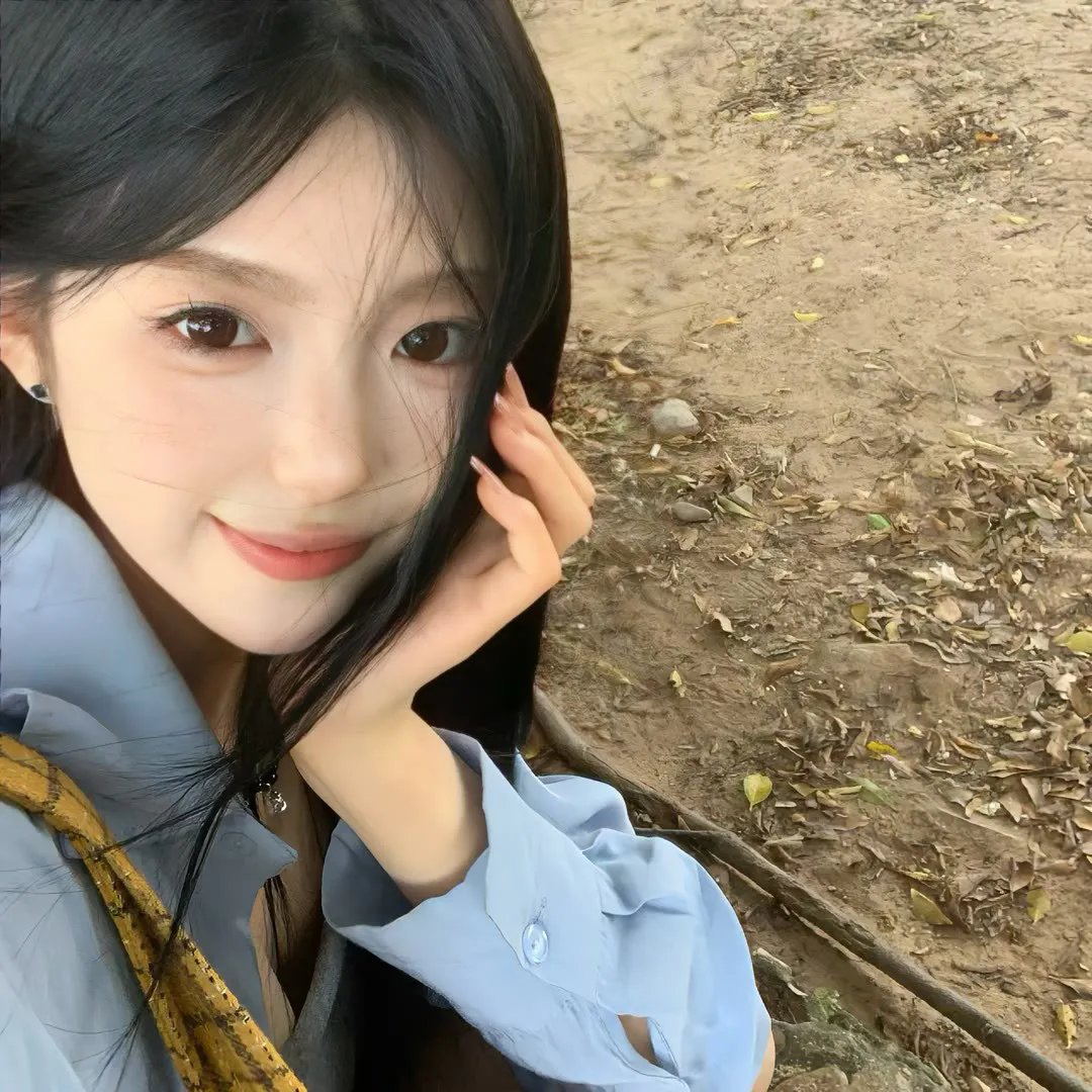 面目全飞
